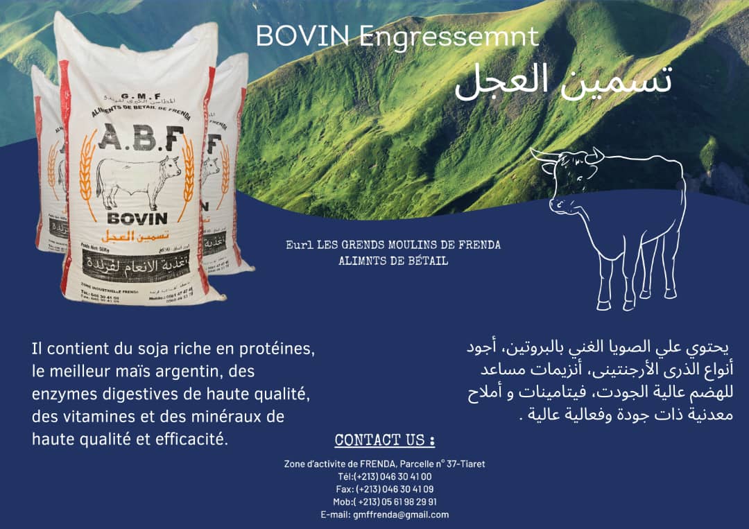 Bovin Engressment