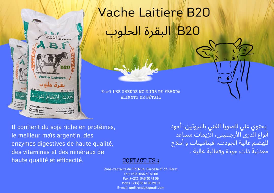 Vache laitiere b20