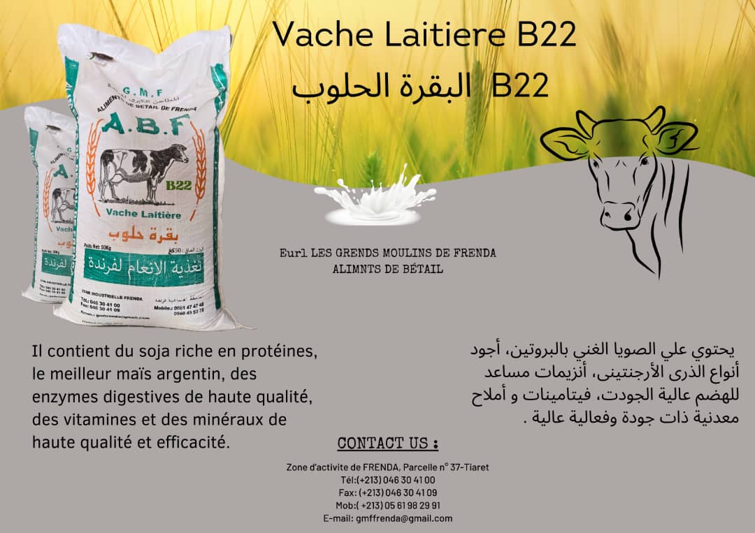 Vache laitiere b22