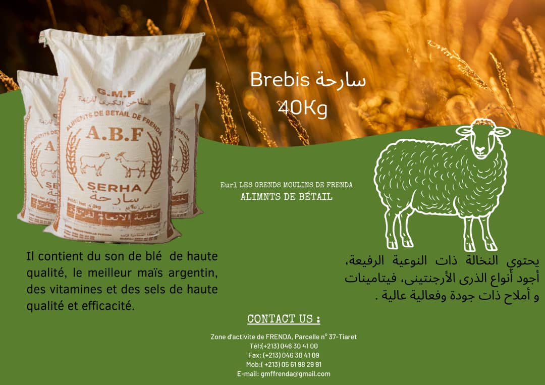 Brebis serha