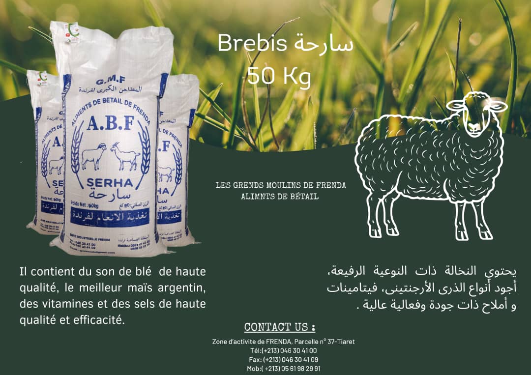 Brebis Serha